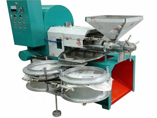 ultrasonic extraction of extra olive oil hielscher ultrasound technology