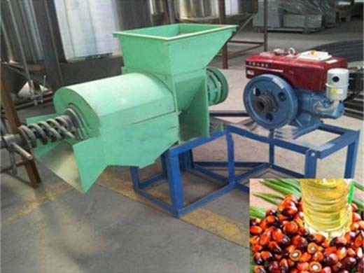 6yl-428 type 6yl-100 screw palm oil press oil press in Zimbabwe