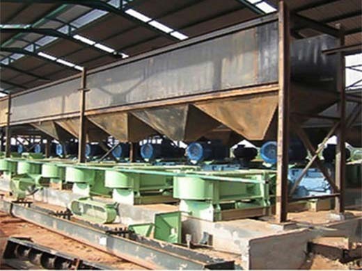 small scale ffb oil press machine palm oil extraction in India