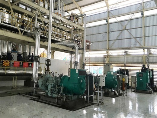 palm oil press machine 6yl palm oil pressing machine in Botswana