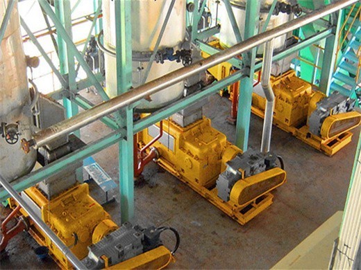hot selling in indonesia palm kernel oil press castor oil