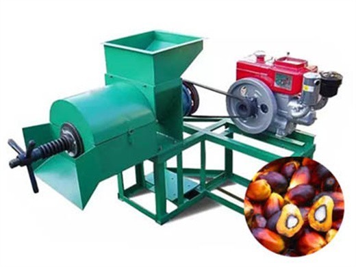 hot sale small profitable flaxseed oil making machine palm in Nepal