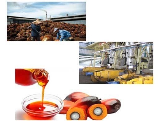 palm kernel oil press machine black cumin oil press in Nepal