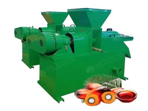 procedures for palm kernel oil extraction in south african