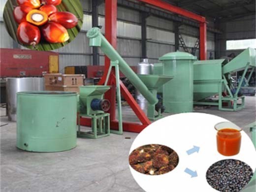 manufacture automatic palm oil press machine in Botswana