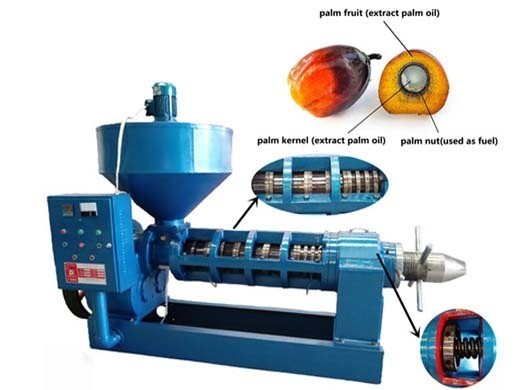 oil press machine 5-10 ton/hour palm oil machine in Botswana