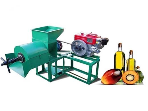 belgium oil press palm fruit palm oil oil press machine in Nigeria
