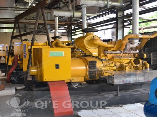 1-10tpd palm kernel oil pressing machine manufacturer in Botswana