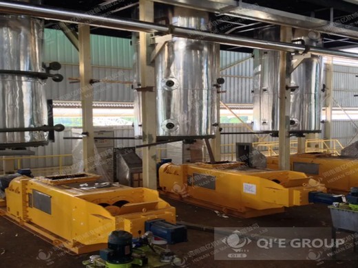 screw type automatic palm seeds oil press machine in Botswana